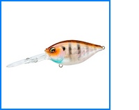 L-Bass Crank DD
