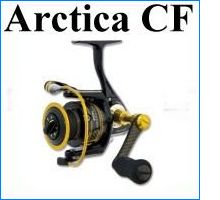 Arctica CF