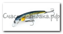 Greedy Guts 55