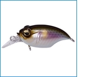 GRIFFON BAIT FINESSE