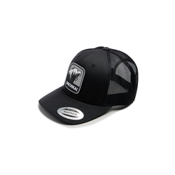 Кепка с сеткой 6P Dichka! Roar #Black/Black&Grey