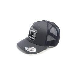 Кепка с сеткой 6P Dichka! Roar #Charcoal/Black&Grey