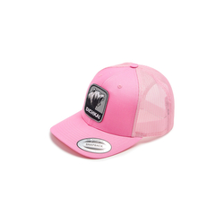 Кепка с сеткой 6P Dichka! Roar #Pink/Black&Grey