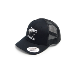Кепка с сеткой 6P Dichka! Roar Rawcut #Black/Black&White