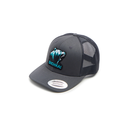 Кепка с сеткой 6P Dichka! Roar Rawcut #Charcoal/Black&Azure