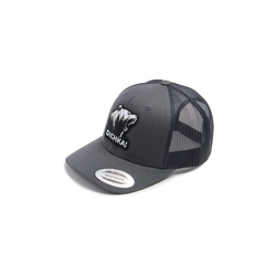 Кепка с сеткой 6P Dichka! Roar Rawcut #Charcoal/Black&White